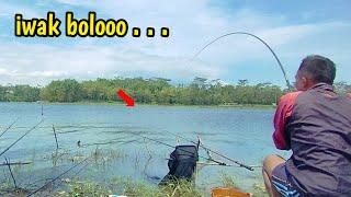 Kita coba lagi‼️- masih adakah nila nila babonnya mancing ikan nila waduk karangkates