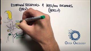 Estrogen Receptors &  HER2neu Receptors in Breast Cancer a TUTORIAL from Oster Oncology