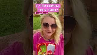 #sofiamarkina #380508640126телеграм #таро #gadanietarot #tarot #психология #gadanie #софиятаро