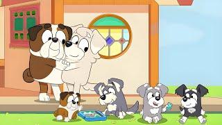 Winton And His Dad Moves In With The Terriers - Bluey Season 4