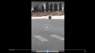 Tire Falls Off