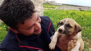 Hombre bondadoso rescata a 15 cachorritos y su mamá