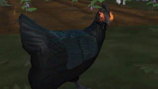 chicken fights with death sims 4 #Shorts
