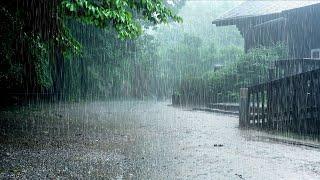 Sleep-inducing Rain sound is Created by Heavy rain.  Helps you Relax Study Reduce Stress.