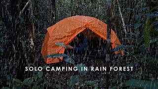 Solo Camping in the Forest • Rain in the Dense Forest • Relax and Rest to Enjoy the Sounds of Nature