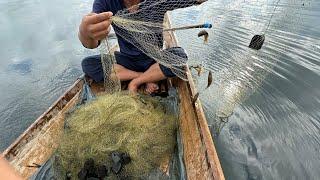 Lake lanao net fishing unlimited fish  relaxing video 60spf 4k  Filipino traditional fishing