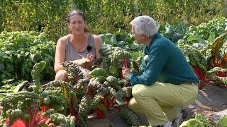 PERGINE VALSUGANA CON FRANCESCA DAL VIVAIO ALLA TAVOLA