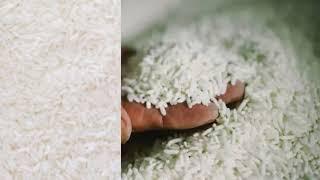سعر شيكارة الأرز 25 كيلو اليوم  2024