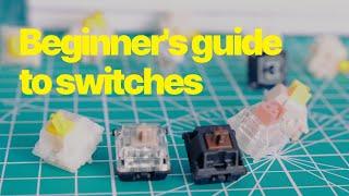 A Beginners Guide to Keyboard Switches