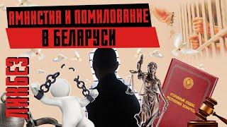 Зачем Лукашенко помиловал политзаключенных? Амнистия в Беларуси. Паника беглых