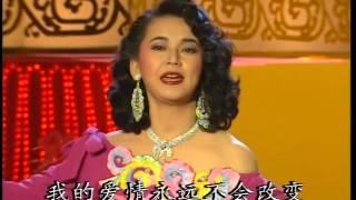 1992年央视春节联欢晚会 歌曲《城市行囊》 胡慧中 CCTV春晚