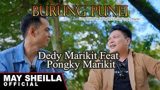 Burung Punei - Dedy Marikit Feat Pongky Marikit - Lagu Dayak terbaru 2024  Video Musik Official