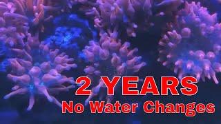 2 YEARS WITHOUT A WATER CHANGE 40 Gallon Mixed Reef Saltwater Aquarium