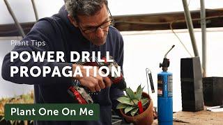 PROPAGATE with a POWER DRILL?? — Ep. 377