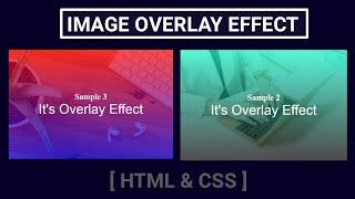 Image Overlay Effect with CSS  CSS Color Overlay For Background Images