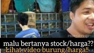 malu bertanya stockharga?? lihat video burung harga