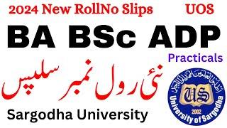 BA BSc ADP Practicals Roll No Slips 2204 UOS  ADP New Roll No Slips 2024 UOS Practicals