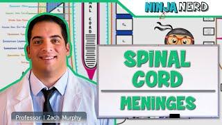 Neurology  Spinal Cord Meninges