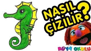 Nasıl Çizilir? - Denizatı - Çocuklar İçin Resim Çizme - RÜYA OKULU