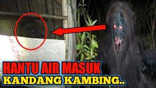 NGERI ‼️ Kuyang Makan Kambing  Mirip Hantu Air