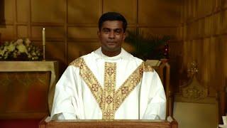 Catholic Mass Today  Daily TV Mass Tuesday August 20 2024