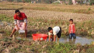 Fishing video  Skilled boys are fishing in the village field  Amazing hand fishing