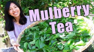 How To Harvest And Dry Mulberry Tea