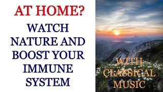 Watch nature to boost your immune system - Helps to reduce stress and turn back your biological age