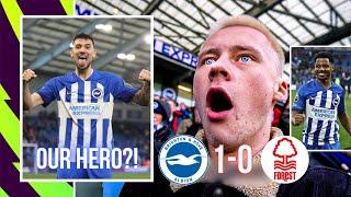 Weve FINALLY won a game? A massive 3 points  Brighton VS Nottingham Forest  Match Day Vlog