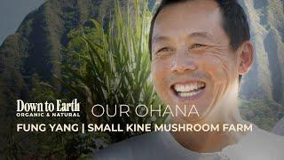 Small Kine Farms Organic Mushrooms Help Avoid Waste  Support LOCAL  Hawaii