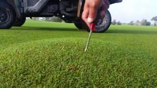 Air bubbles in golf turf.