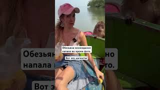 Полное видео на канале.  #таиланд #обезьяна #паттайя