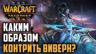 КАКИМ ОБРАЗОМ КОНТРИТЬ ВИВЕРН Dise Ne vs Yange Orc Warcraft 3 Reforged