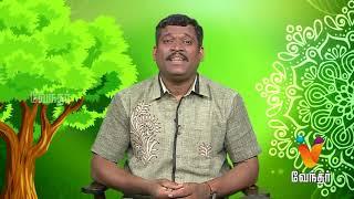 ஒரு நாளில் கிட்னி கல் கரைக்கும் முறை..? Marunthilla Maruthuvam 04092017  Epi-1100