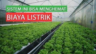 Dengan Sistem Hidroponik ini Mas Galih bisa menghemat Biaya Listrik.