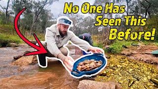 The Best Metal Detector for GOLD is NOT What You Think