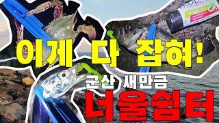 군산 새만금 너울쉼터 풀치낚시 우럭은 덤.. 이게 게야 게