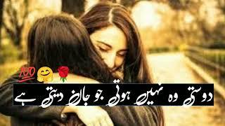 Dosti Shayari   Friendship Shayari 2 line  New Friendship Poetry in Urdu 2022