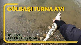 Gölbaşı hareketleniyor  Bursa Turna Avı  Gölbaşı kestel balık avı  #balıkavı #fishing #turnaavı