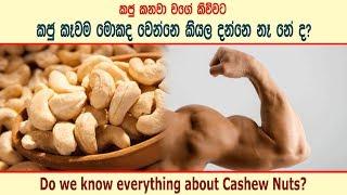 කජු කනවා වගේ කිව්වට කෑවොත් මොකද වෙන්නෙ - What happen if you eat cashew nuts