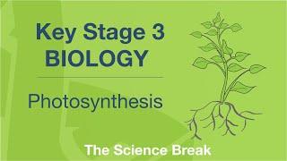 Key Stage 3 Science Biology - Photosynthesis