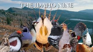 The Idaho Nine - An Idaho Upland Hunting Film