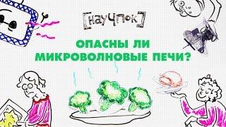 Опасны ли микроволновые печи? - НАУЧПОК