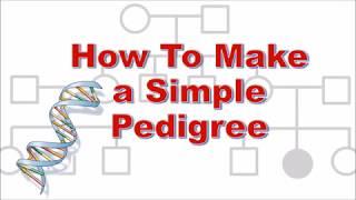 Pedigree  How to make a simple Pedigree