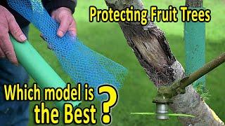 Protecting Fruit Trees  Shelter or Guard Tube or Mesh  WHICH TREE PROTECTION should I use?