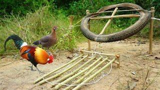 Simple Unique Wild Chicken Trap Using Tire Bike & Wood - Easy Fantastic Creative Wild Chicken Trap