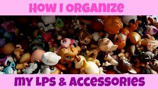 How I Organize My LPS & Accessories  LPSskittles