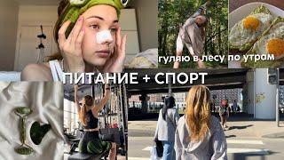 VLOG  утро в лесу уход за собой *aesthetic*  правильное питание спорт ️