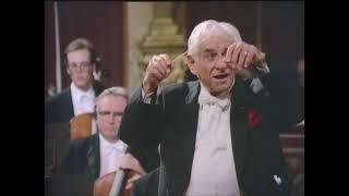 Mozart Symphony No. 25 in G minor K.183 Allegro  Vienna Philharmonic - Leonard Bernstein