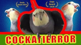 Cockatierror teaser - Cockatiel Movie